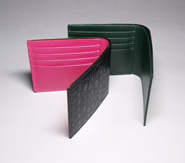 CN8@iNR_CobO܂zցj